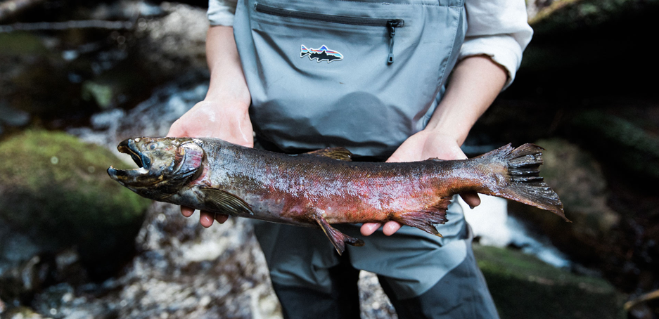 A man holding a wild salmon fish